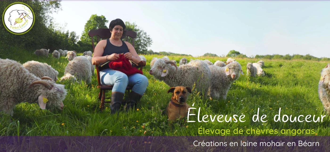 Capture du site Ferme Laneya — vue 1